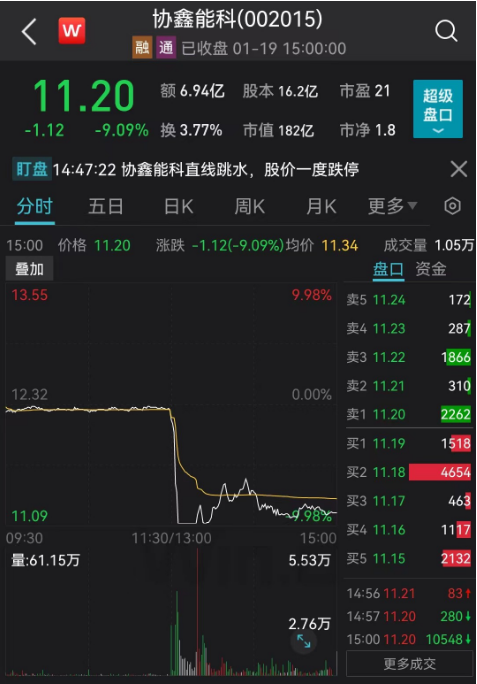 5分钟跌停，200亿龙头回应午后闪崩